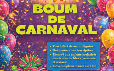 [Mardi 10 mars 2026] Boum de Carnaval – Parents&rsquo;Vrille.