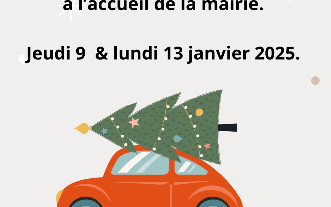 [ 9 & 13 janvier 2025] Collecte des sapins 🎄🎄