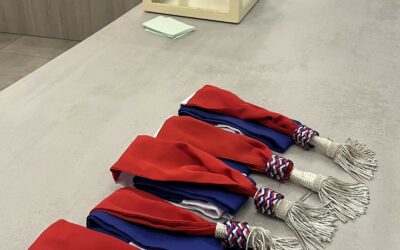 CMJ – Élections du Maire & des Adjoints.