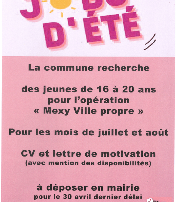 JOBS D’ÉTÉ – CANDIDATURE