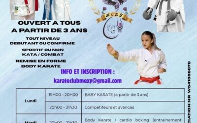 Nouveau club de Karaté à Mexy.