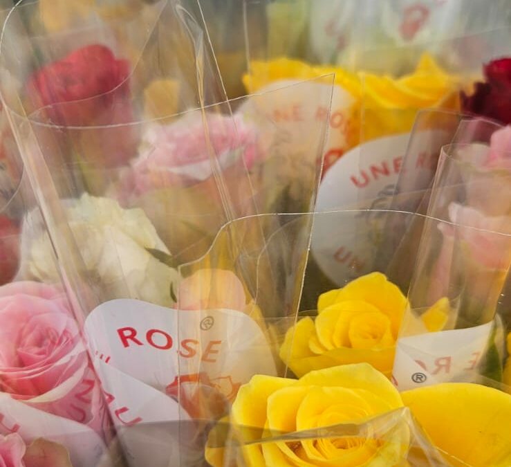 [Retour en images] Une rose, un espoir. 🌹🌹
