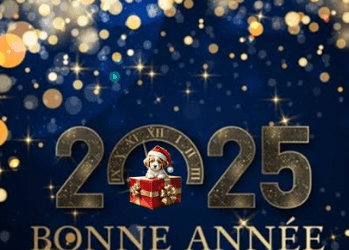 Bonne année 2025 🎆🎆🎇🎇✨✨✨