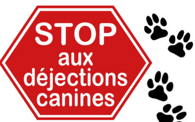 Rappel – Sacs à déjection canine. 🐕