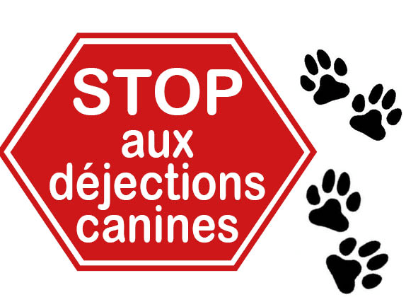 Rappel – Sacs à déjection canine. 🐕