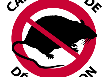 Campagne de dératisation