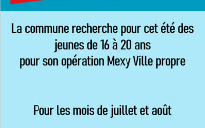 JOBS D’ÉTÉ – CANDIDATURE