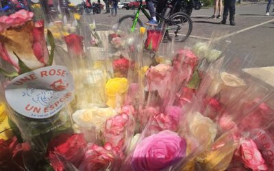 Une rose, un espoir – Merci 🙏