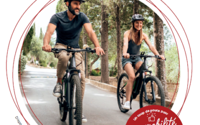 Aide à l’acquisition d&rsquo;un vélo à assistance électrique (VAE) – Grand Longwy.