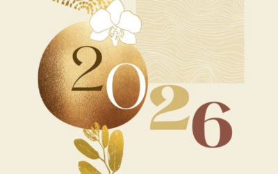 Meilleurs vœux 2026. 🎇🎇